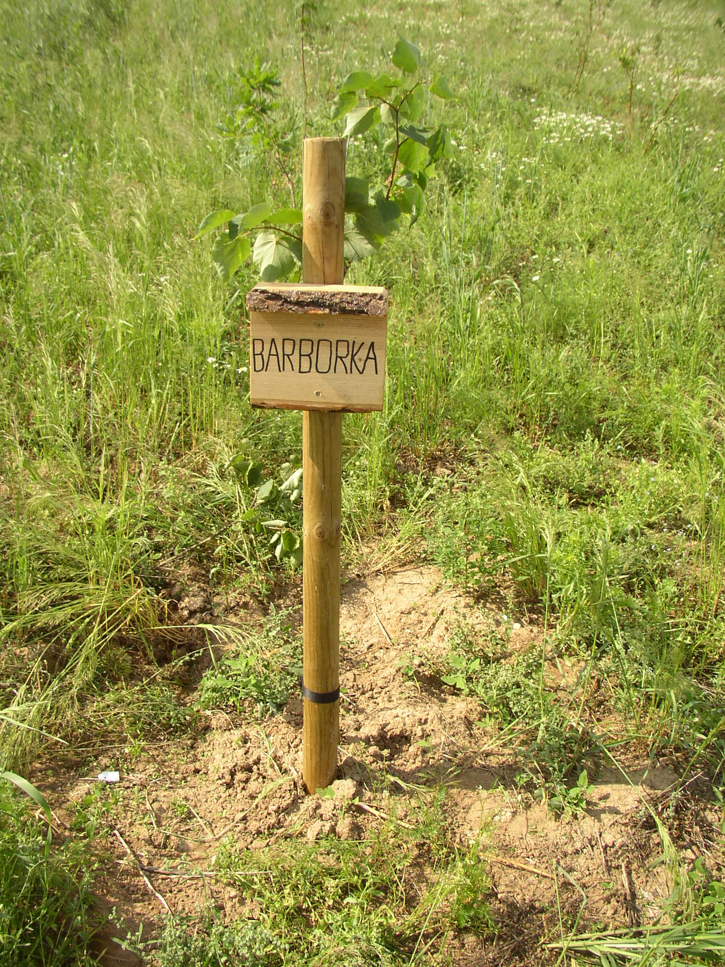 108 Barborka