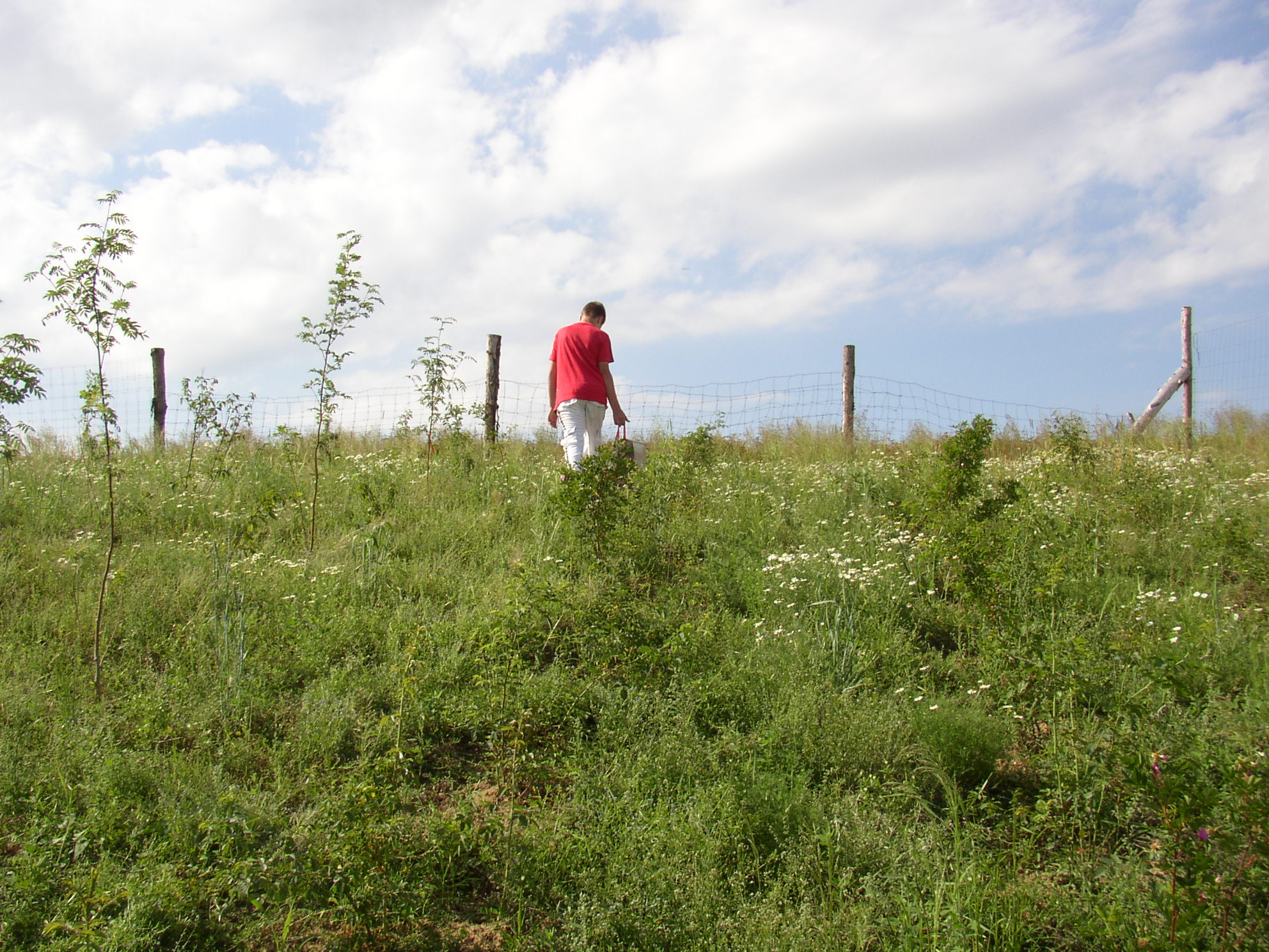 Pole 2012_6_23 (18)