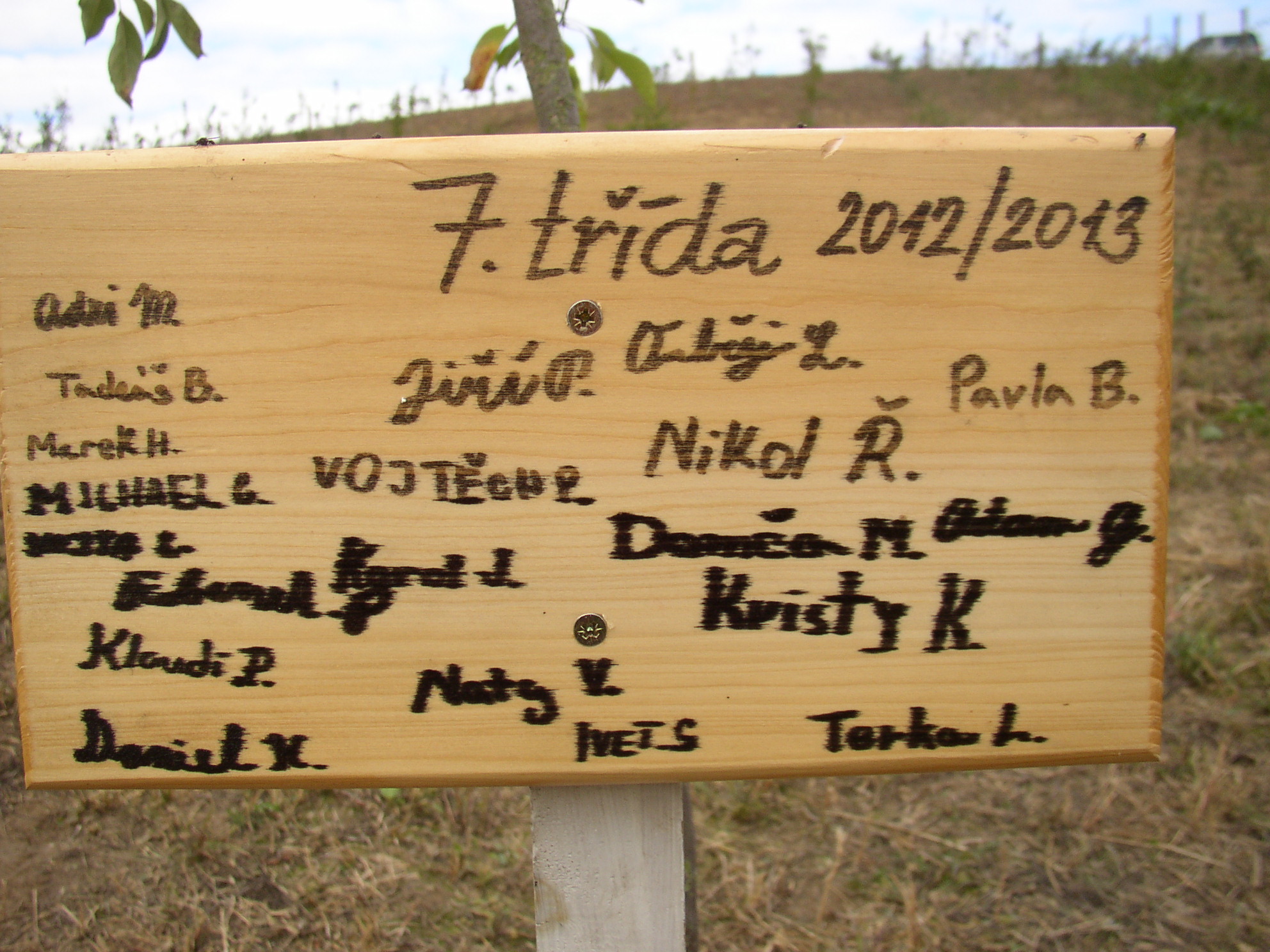 Strom 7. třídy 2012