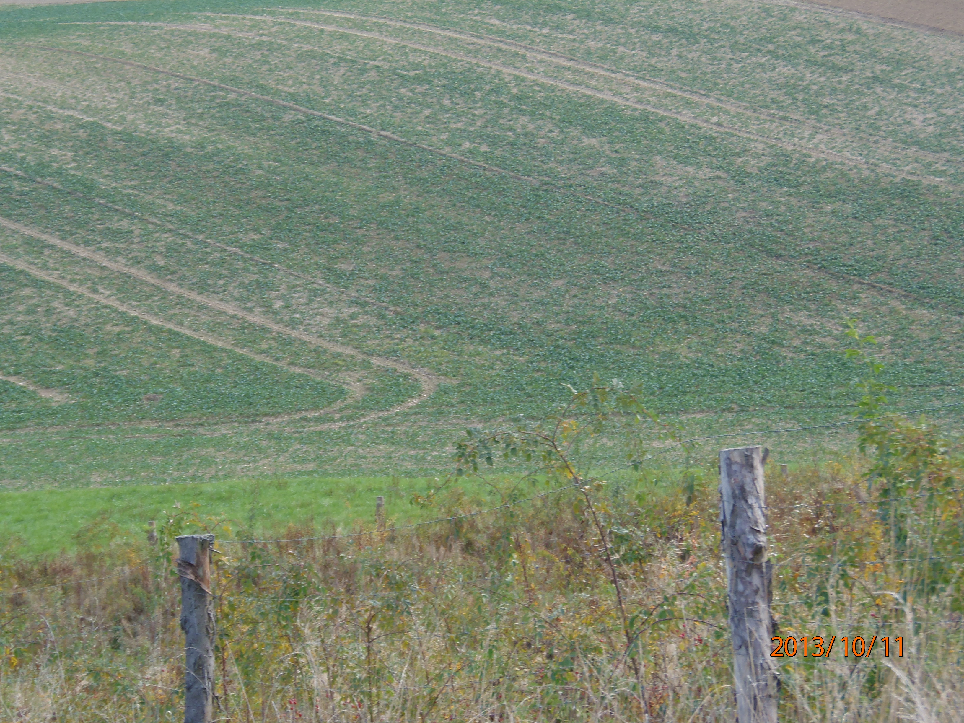 PA110089