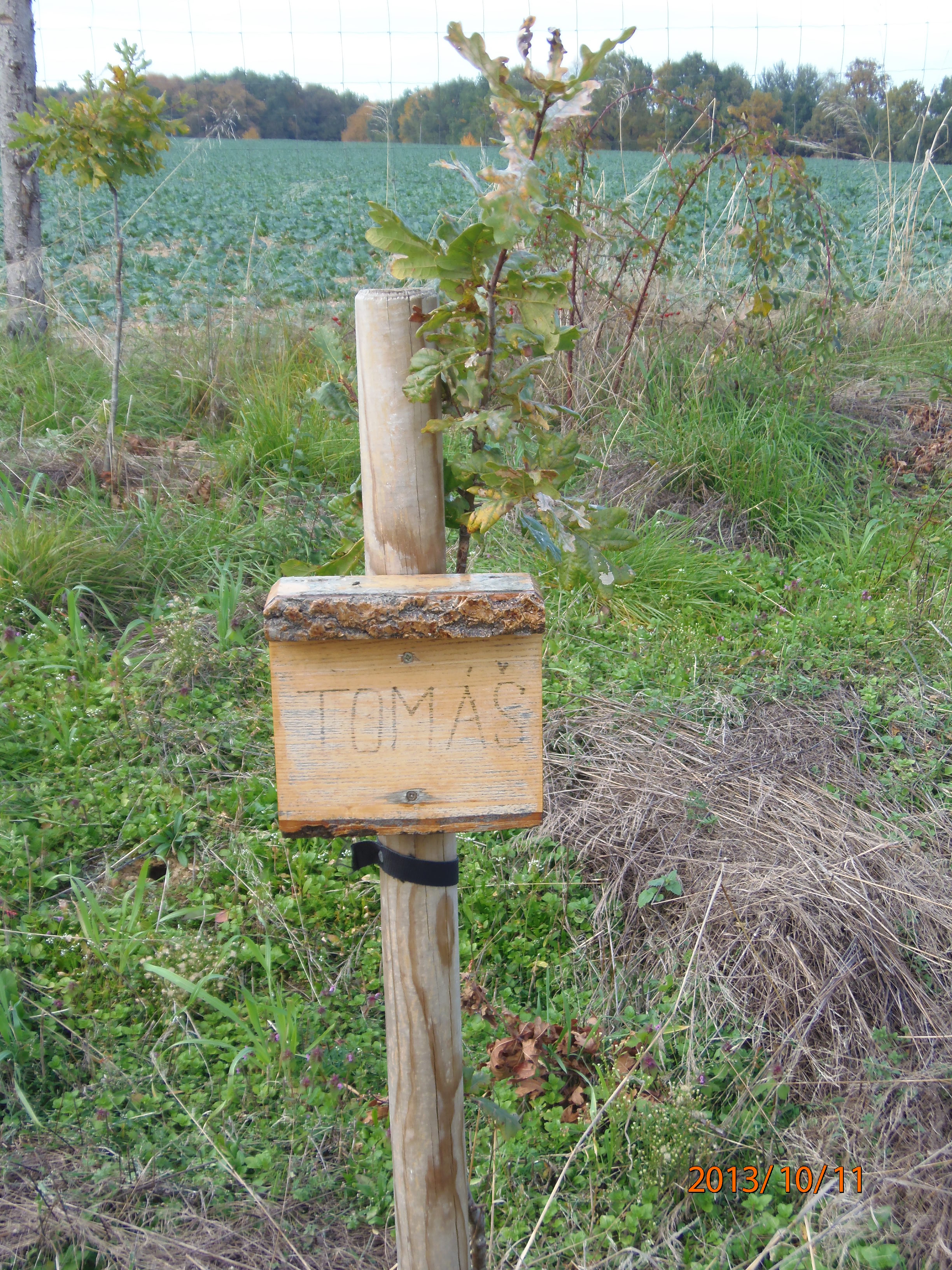 PA110095