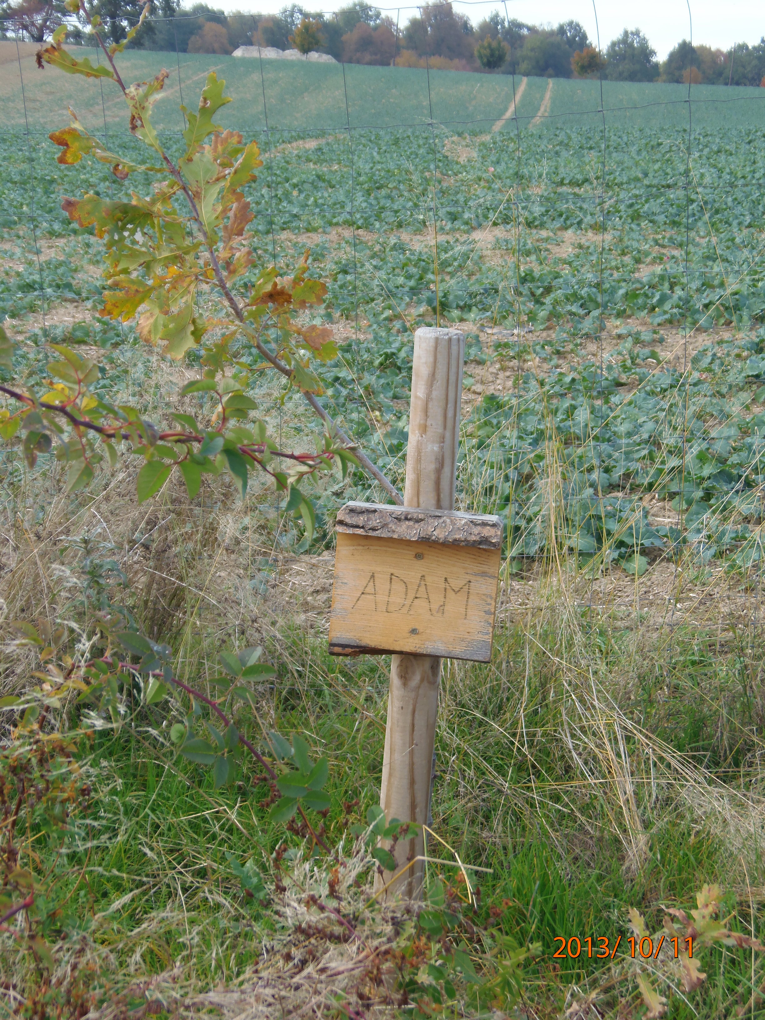 PA110097